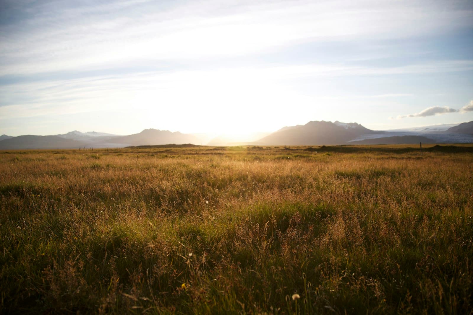 Dawn breaking over open grassland — anointing and new beginnings