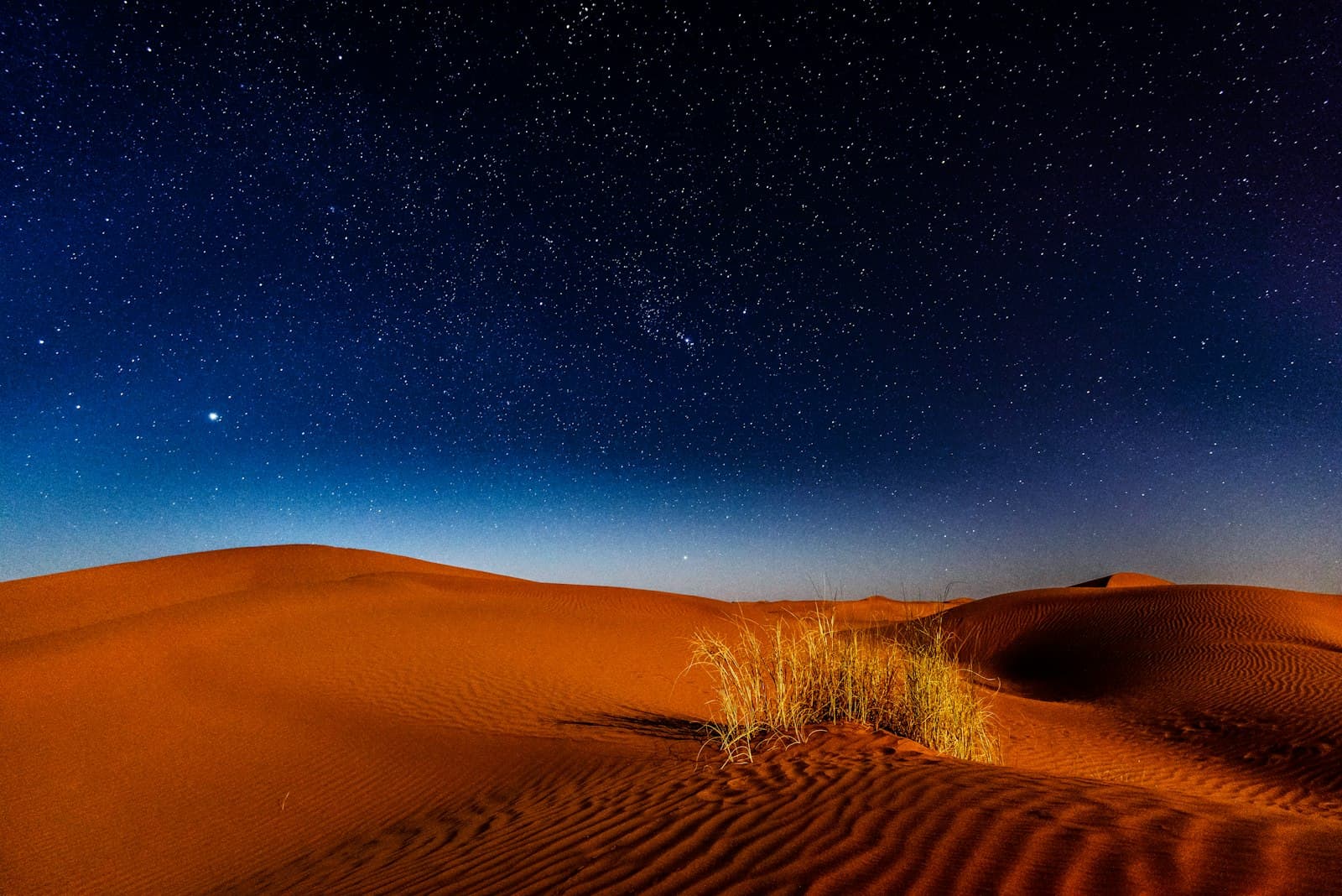 A quiet starfield above a dark ridge — counting the stars in the wilderness