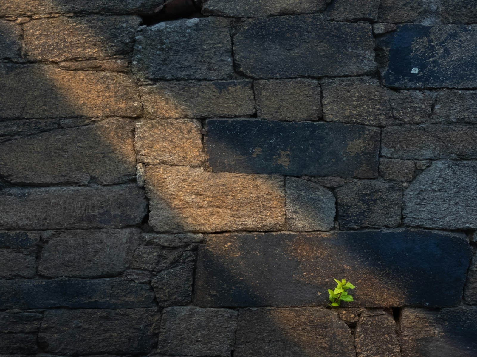Cracked, parched earth — mourning over Jerusalem
