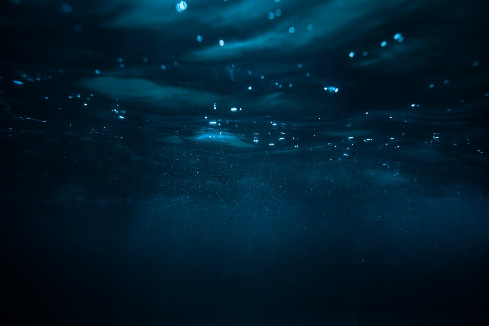 A near-black sea surface — the deep and the reluctant prophet